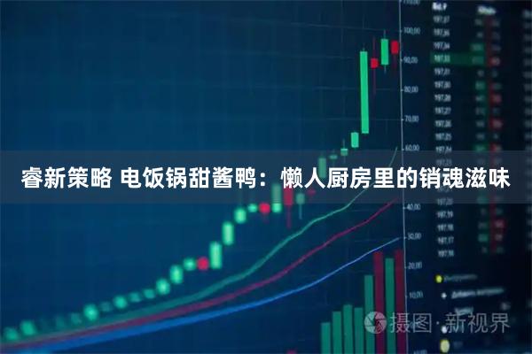 睿新策略 电饭锅甜酱鸭：懒人厨房里的销魂滋味